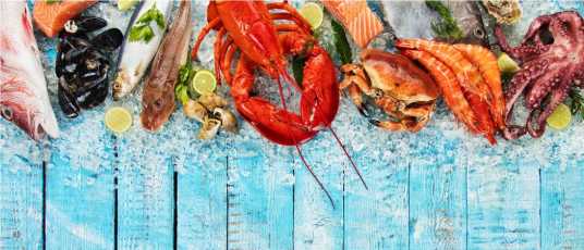 \[…\]

[Read More…](https://quisine.quandoo.co.uk/guide/best-seafood-restaurants-brighton/attachment/header-2/)