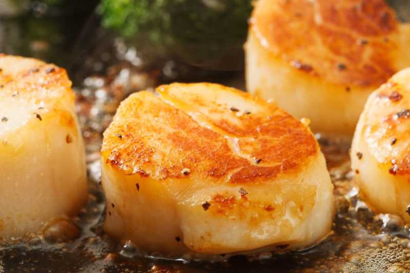 Simple scallops at Regency. Source: Quandoo \[…\]

[Read More…](https://quisine.quandoo.co.uk/guide/best-seafood-restaurants-brighton/attachment/regencycomp_/)