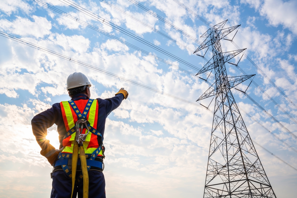 Understanding the Role of the Distribution Network Operator (DNO ...