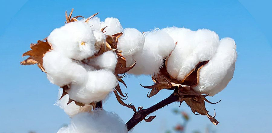 Compromiso de Seguridad