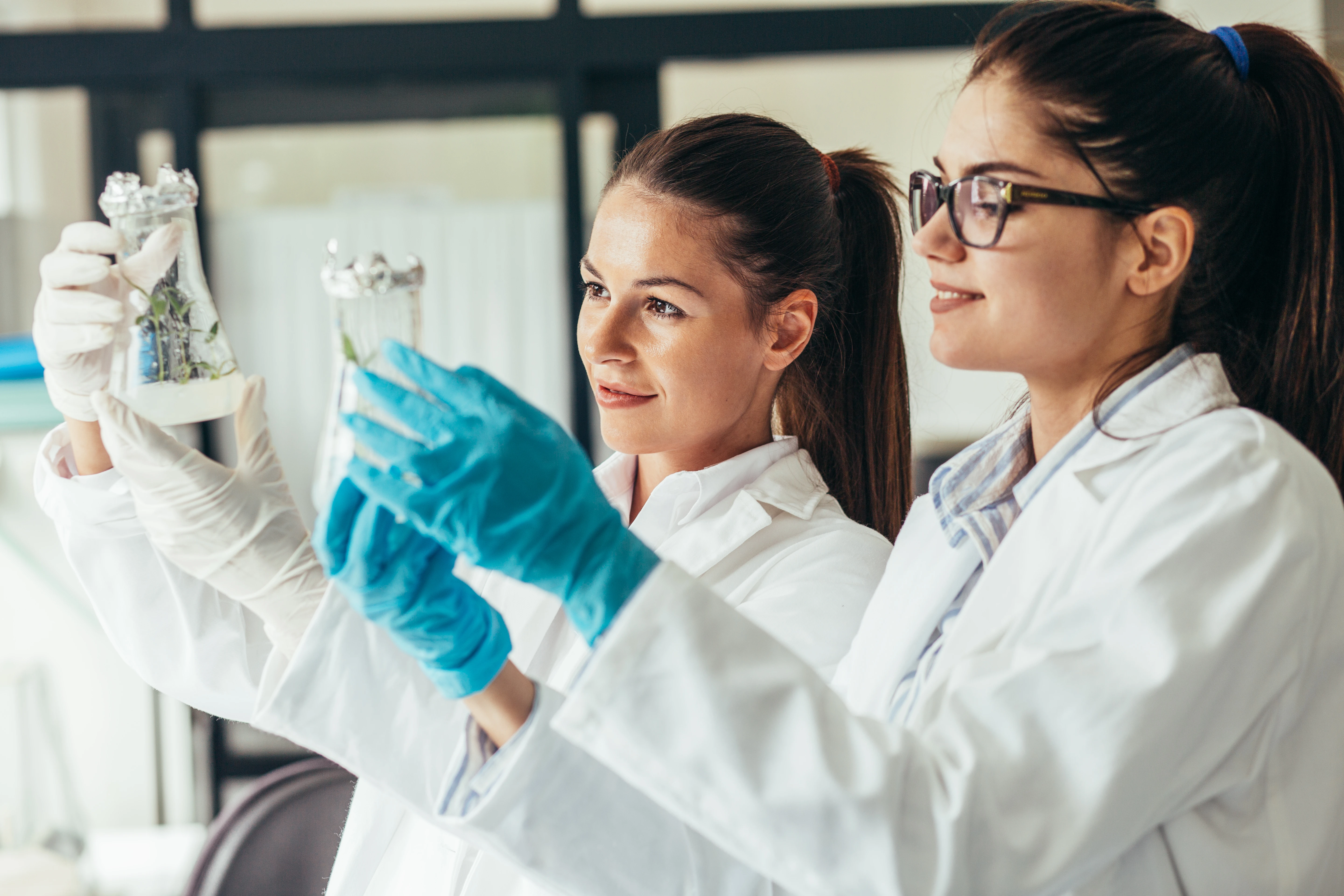  Pruebas independientes que certifican la ausencia de sustancias nocivas