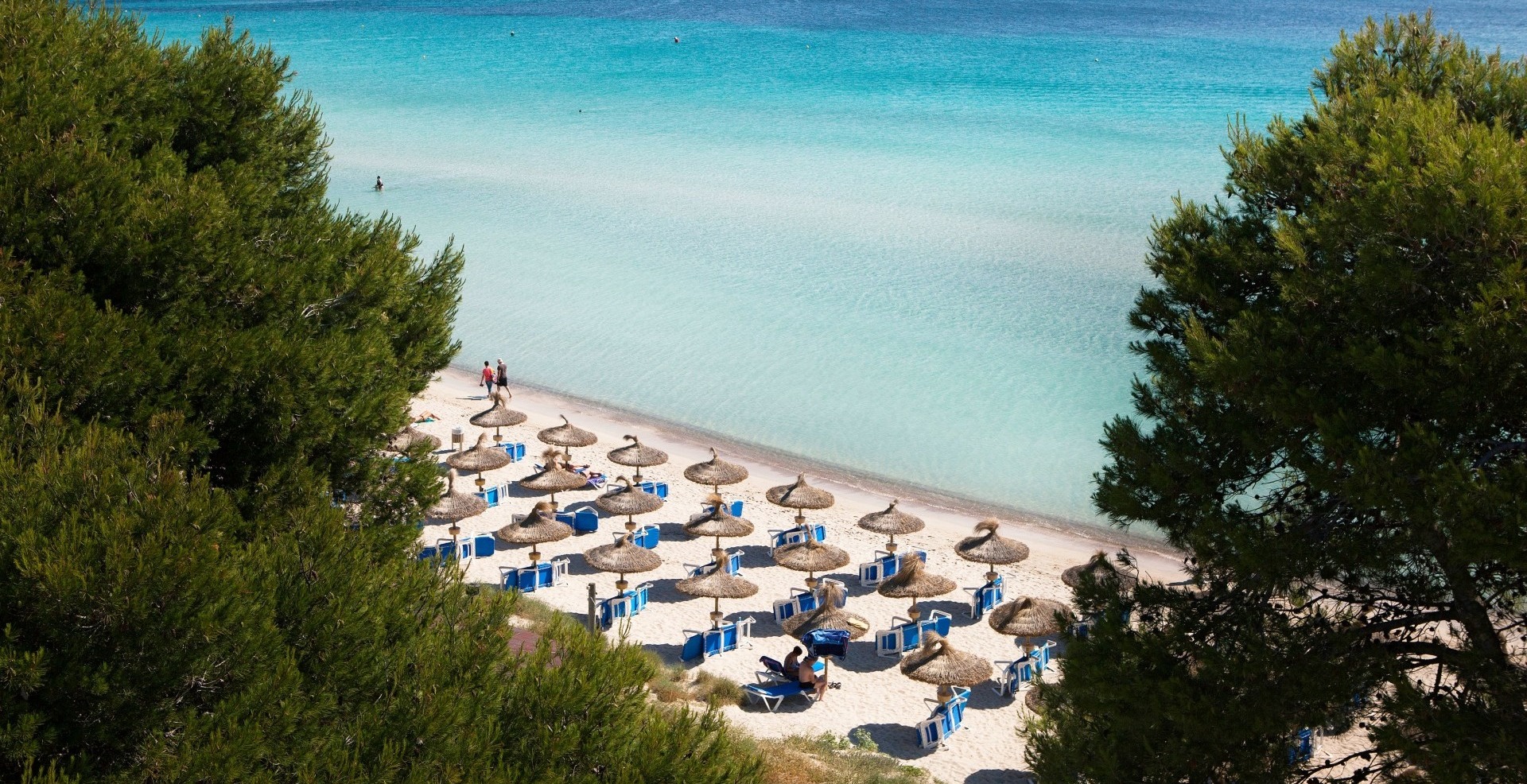 Kig til strand mellem træer