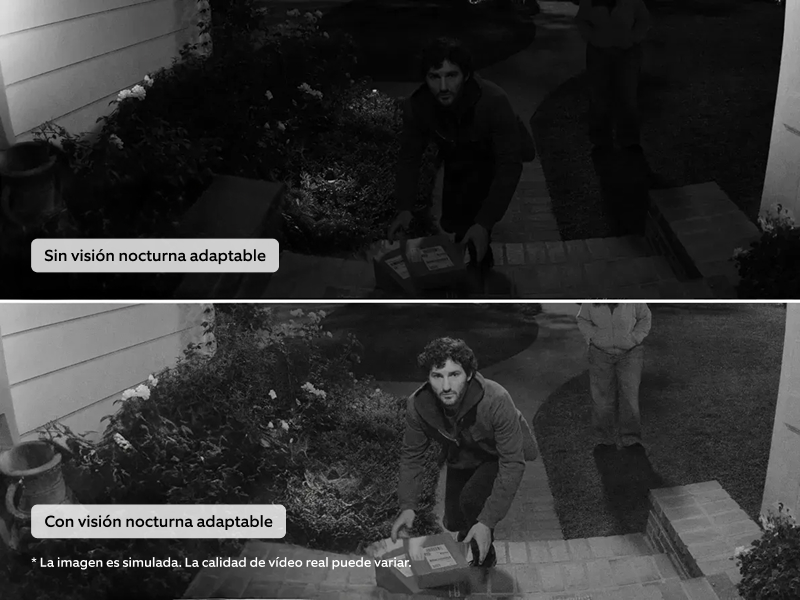 Pantalla dividida de intento de robo. Imagen superior oscura sin visión nocturna, inferior clara y brillante con visión nocturna