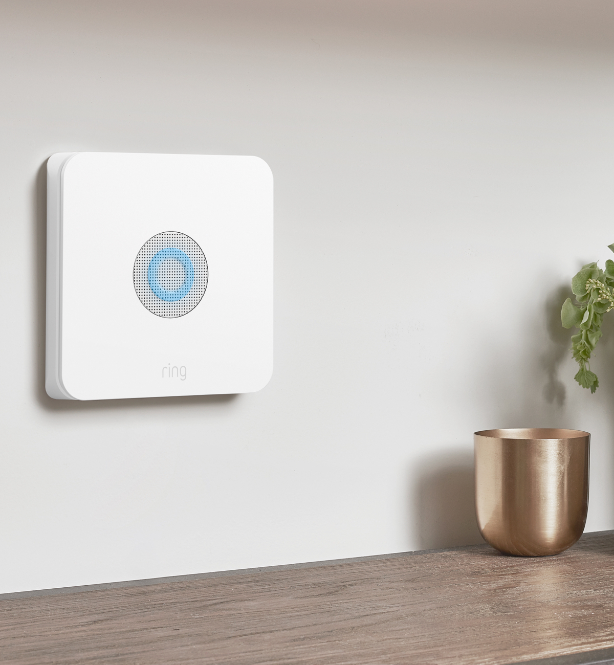 Ring Alarm Base Station an der Wand montiert mit blauem Ringlicht, neben goldenem Pokal auf Holzregal.