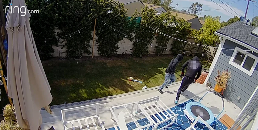 Beelden van mensen, huisdieren en incidenten vastgelegd door Ring-camera's die echte thuisbewakingsmomenten tonen.