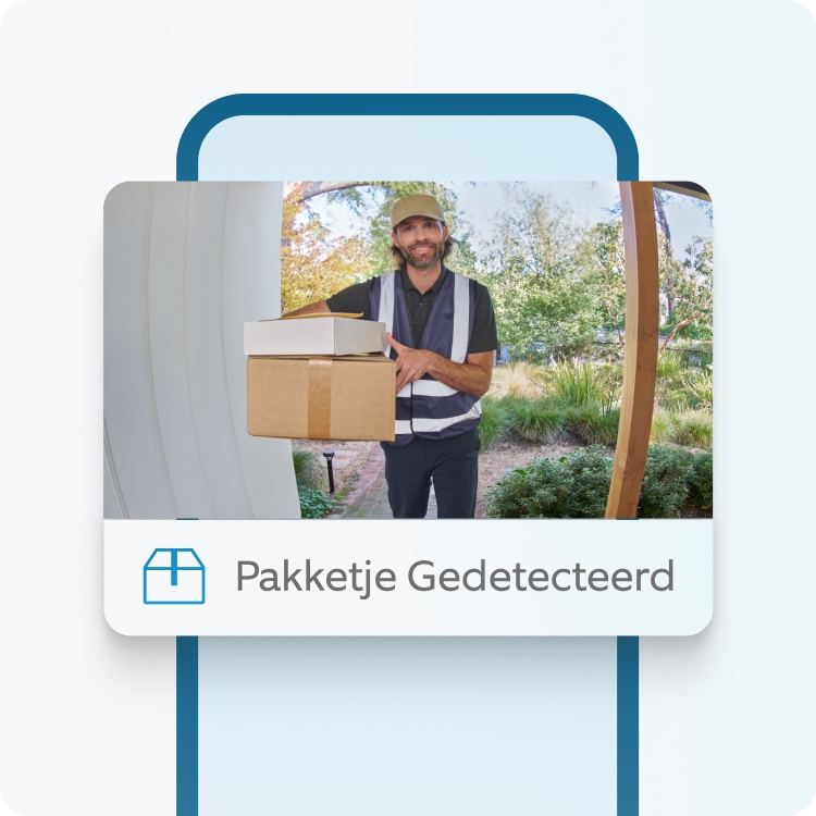 Bezorger met pakketten staat bij de deur, gedetecteerd door Ring Door View Cam's pakket-alertfunctie.