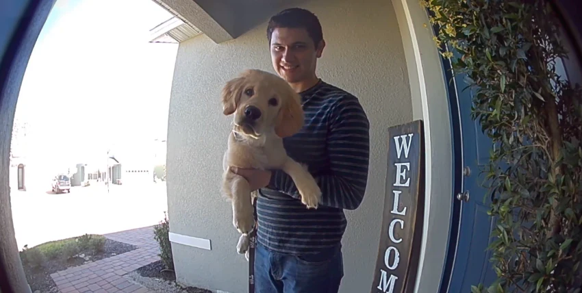 Compilation of real Ring camera footage showing neighbours spotting visitors, deliveries, and suspicious activities.