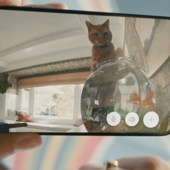 Vista en vivo del teléfono muestra gato mirando pecera, capturado por Indoor Ring en sala decorada.
