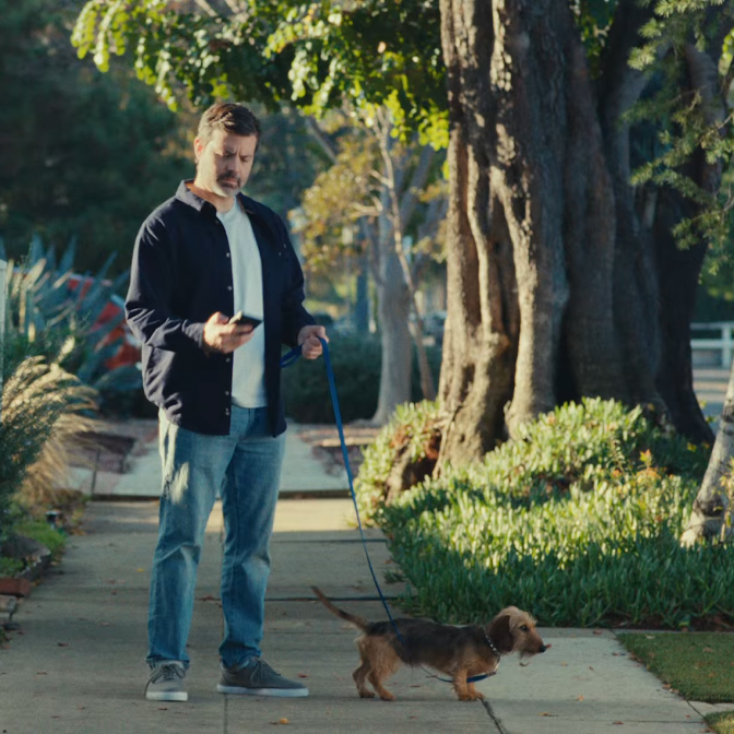 A man walking his dog on the pavement and looking at his smartphone in his hand