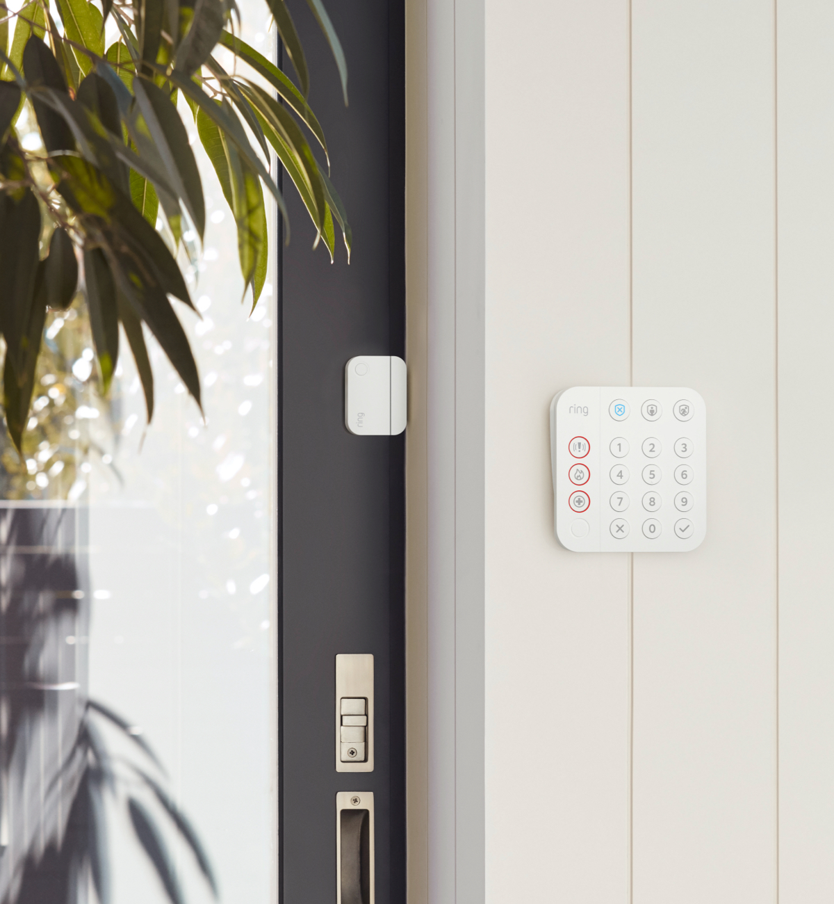 Ring Contact Sensor am Türrahmen und Ring Keypad an der nahen Außenwand montiert.