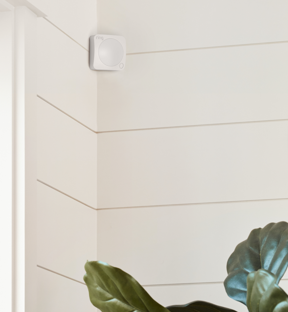 Ring Motion Detector in einer Raumecke über einer Pflanze montiert, erkennt Bewegungen im Innenbereich.
