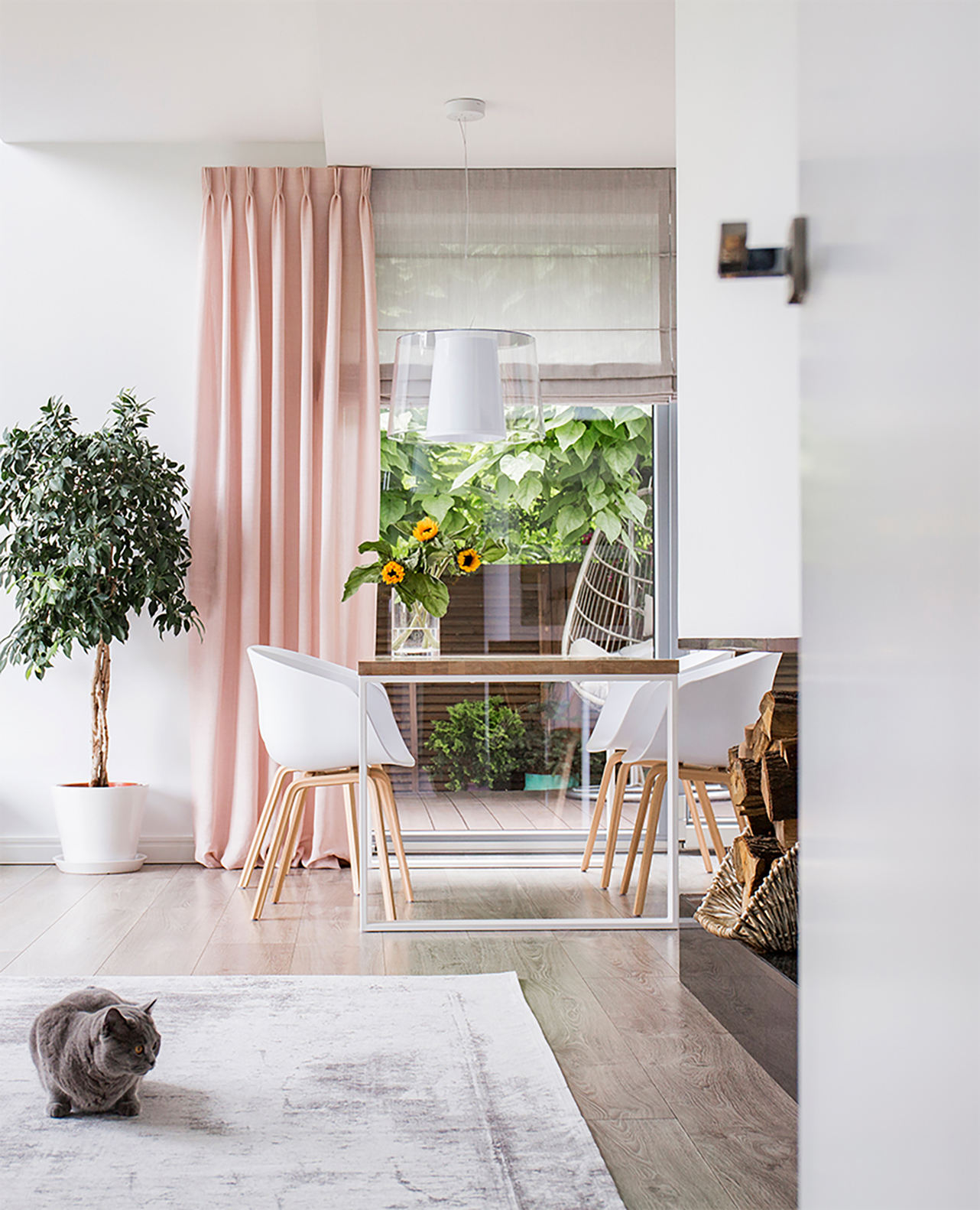 Modern living space with a gray cat on the floor, illustrating pet-friendly motion sensors that reduce false alerts.
