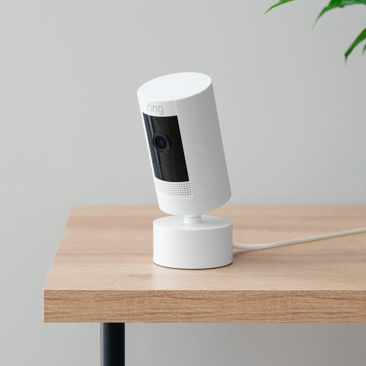 De draai- en kantelstandaard met stekker voor binnen/buiten (Stick Up Cam Battery (3de generatie)) - Wit