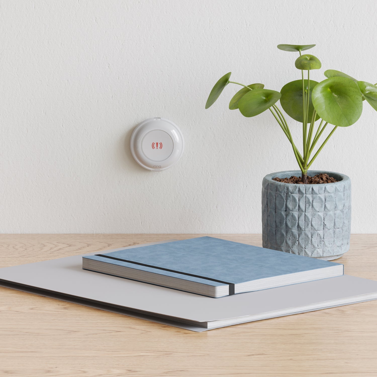 Bouton d'urgence Ring Alarm - Bouton d'urgence Ring Alarm