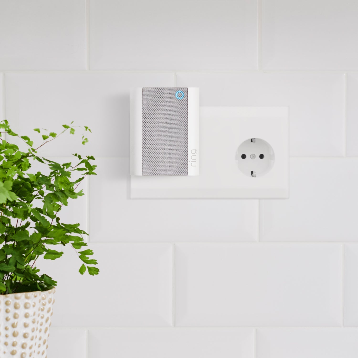 Battery Video Doorbell Plus + Chime - Battery Video Doorbell Plus + Chime