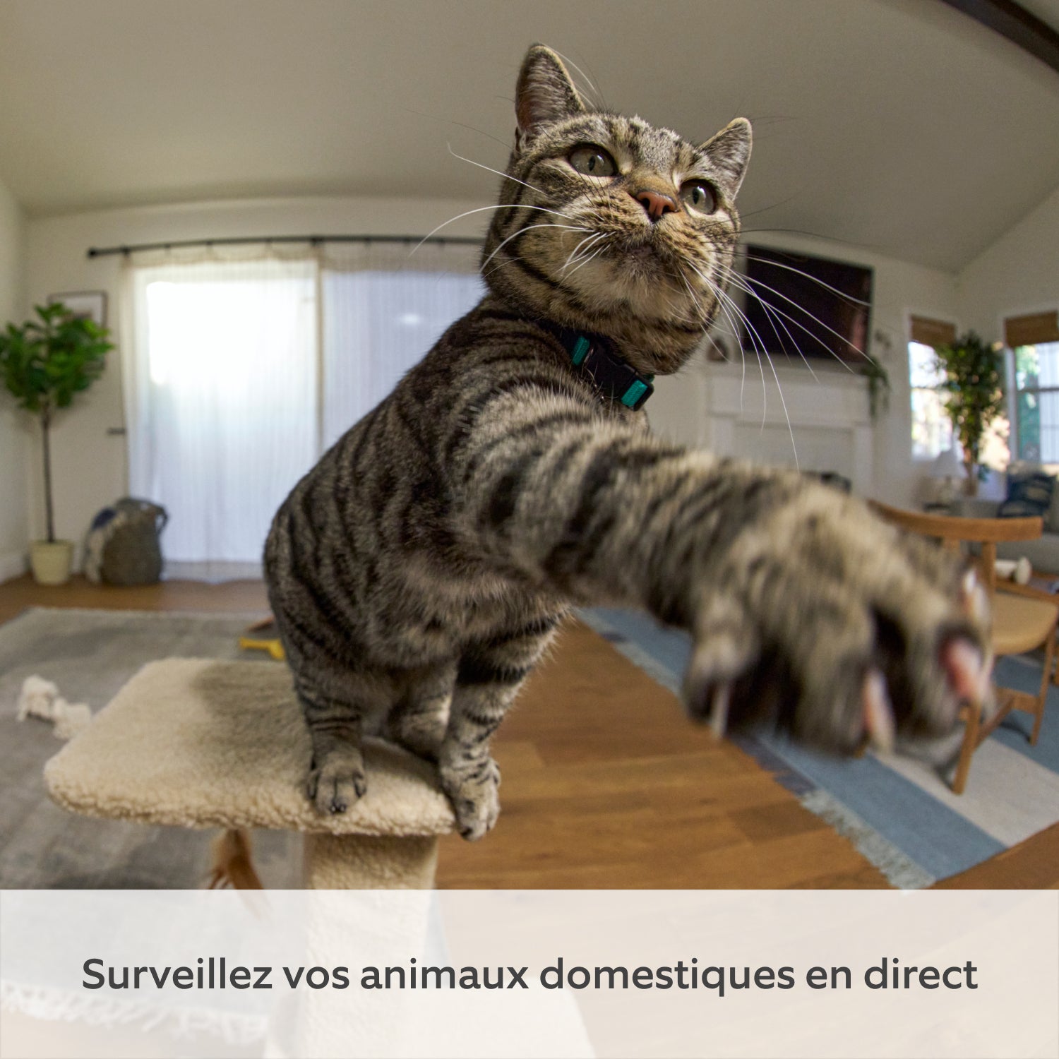 Caméra intérieure orientable (Pan-Tilt Indoor Camera) - Caméra intérieure orientable (Pan-Tilt Indoor Camera)