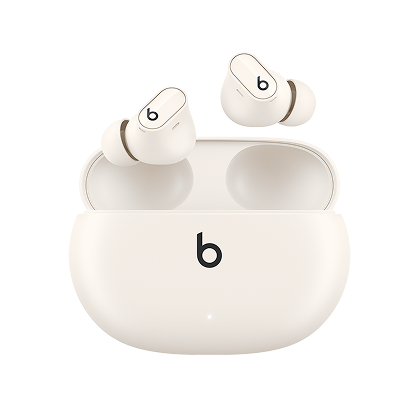 True Wireless Earbuds