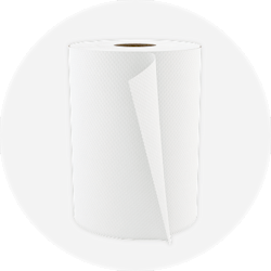 Paper Towels and Dispensers