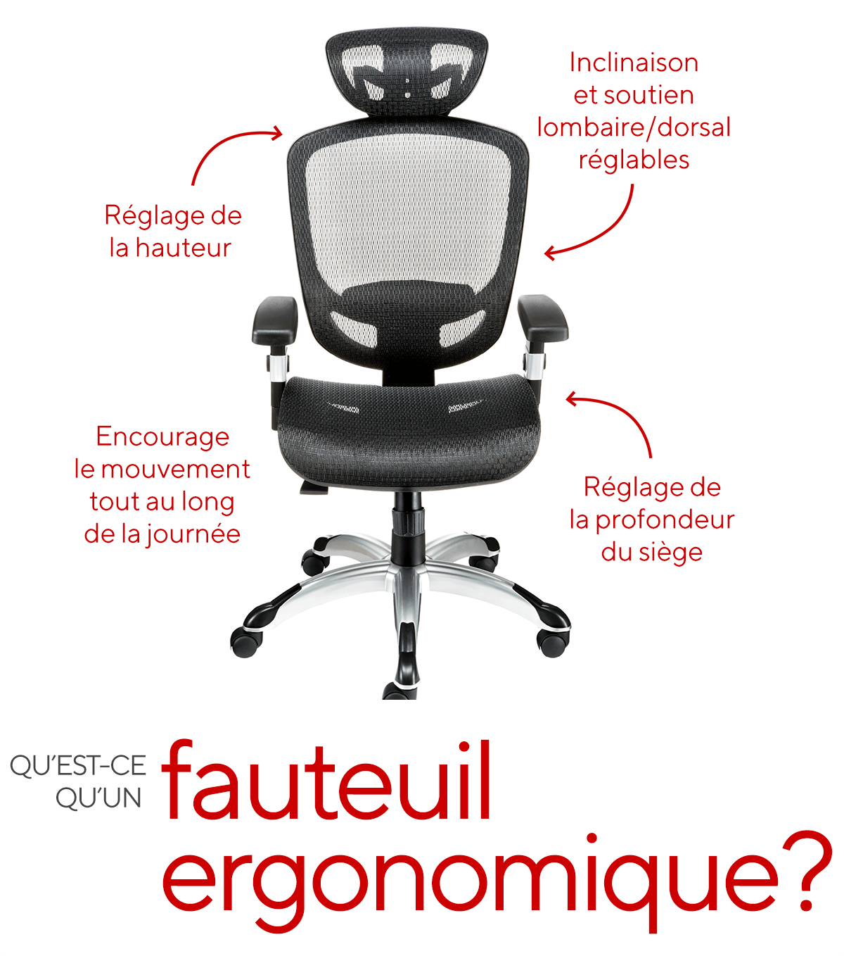 SEVEN COMFORT - Siège de bureau ergonomique avec support lombaire