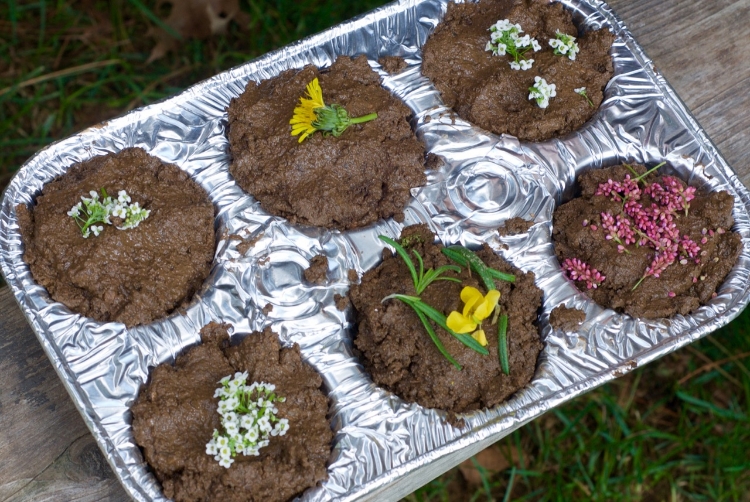 Nature School Project Mud Pies And Mud Ball Critters Sparkle Stories