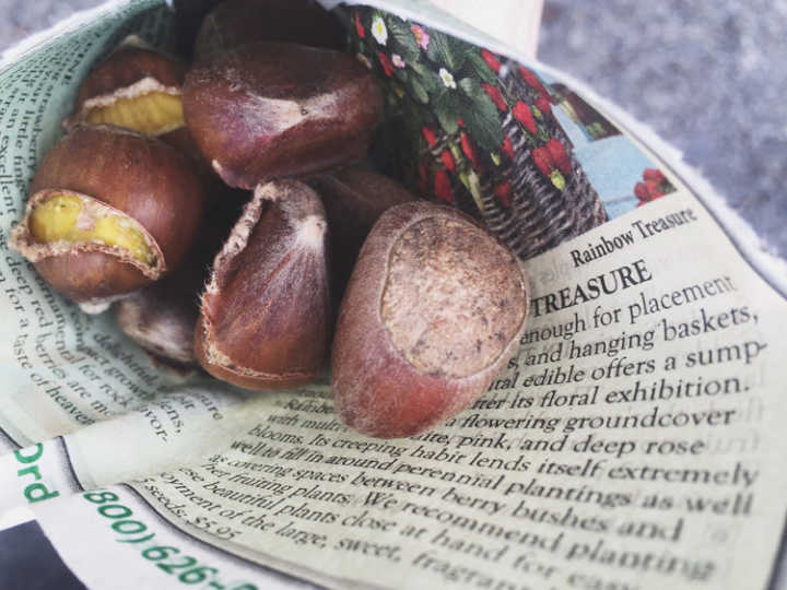  roasted chestnuts 