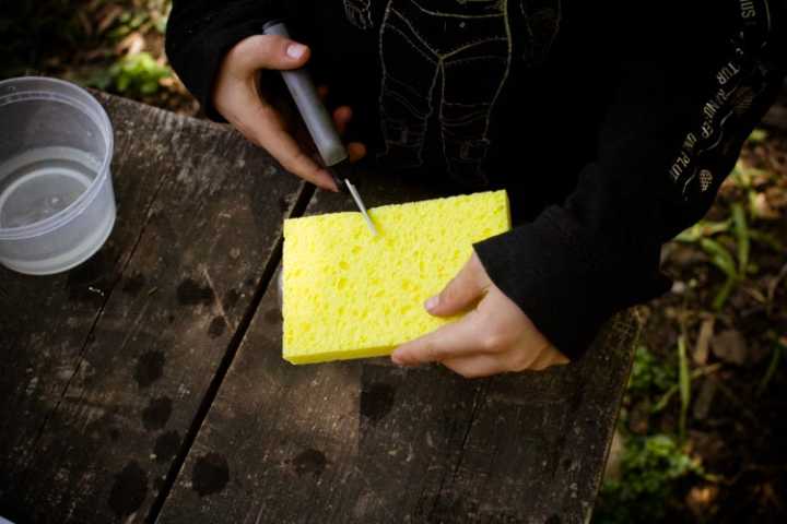 cutting the sponge