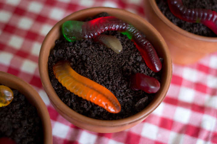 Sparkle Kitchen: Dirt Dessert