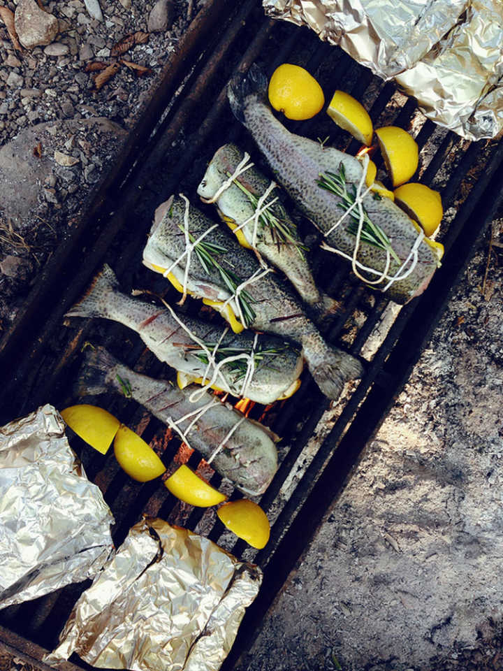 trout over a campfire