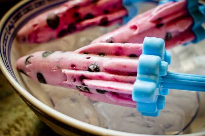 roasted blueberry popsicles 1| www.sparklestories.com| junkyard tales