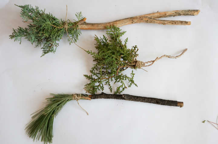 Nature School Project: Evergreen Paint Brushes