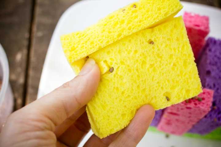 cutting slits to tuck seeds into roof