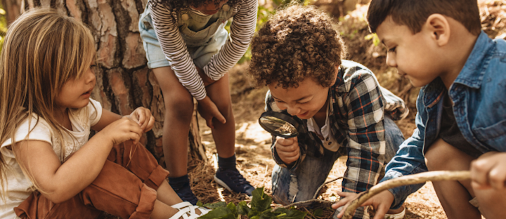 Need a Nature Adventure? Here's What We Would Do in One Click! 