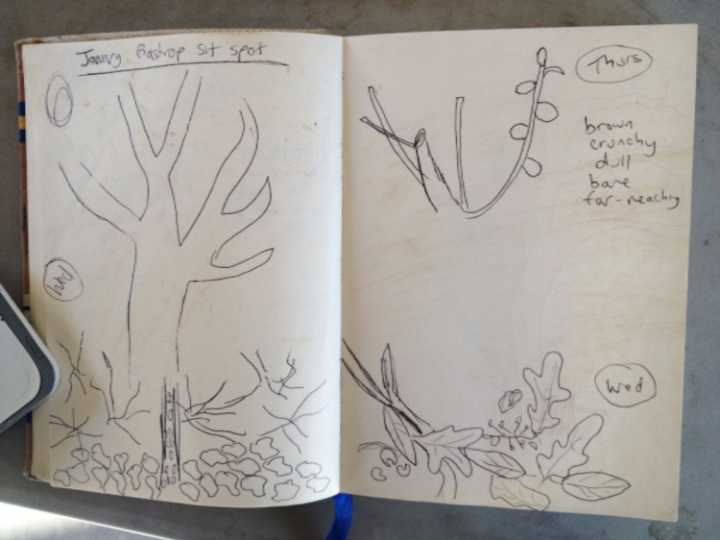 Nature School Project: Nature Journals