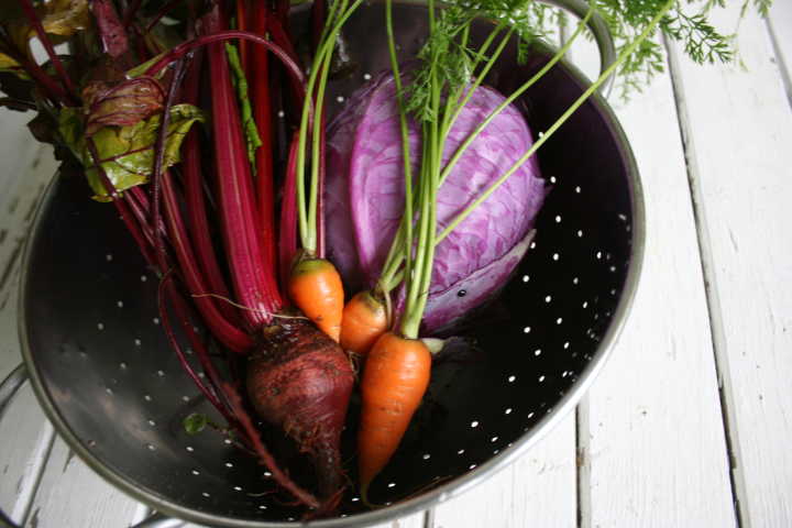 rainbow salad 5