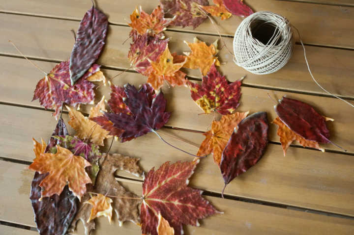 Nature School Project: Waxed Leaf Banner