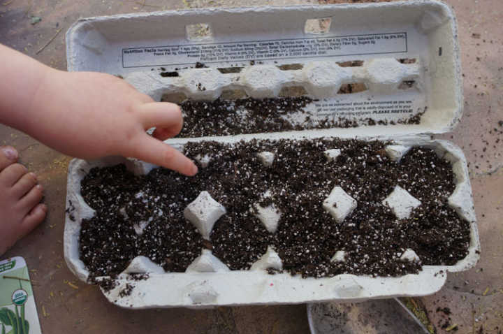 egg carton seed starter kc2