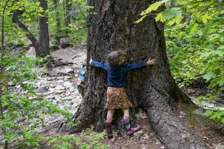 wilderness stewardship |www.sparklestories.com| sparkleschool house