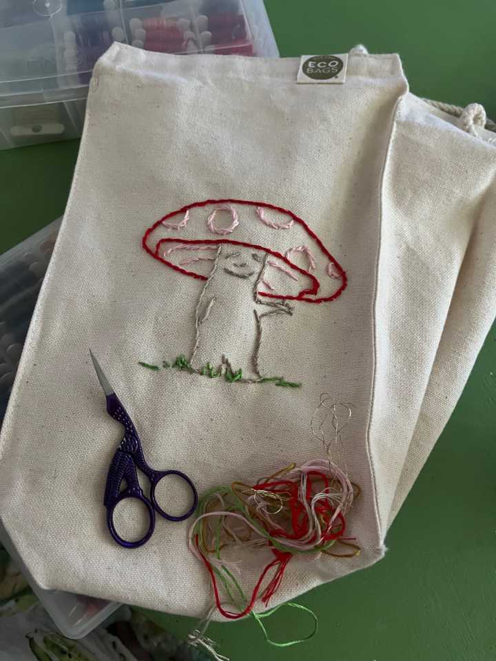 lunch bag mushroom