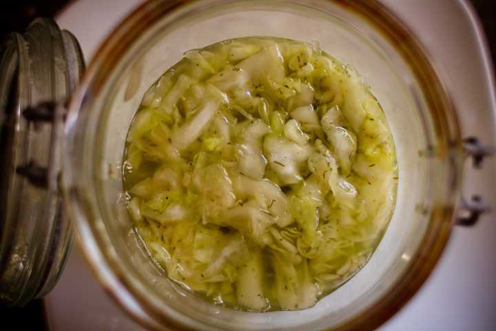 sauerkraut