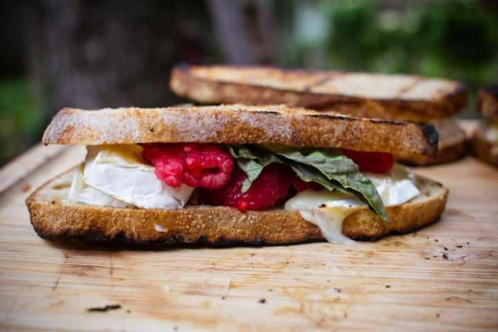 campfire raspberry basil grilled cheese sandwiches 1| www.sparklestories.com| by thistle by thimble