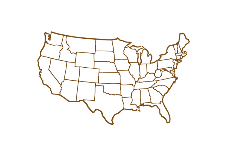 NEW Complete Study Guide For FIFTY The Stars States And Stories