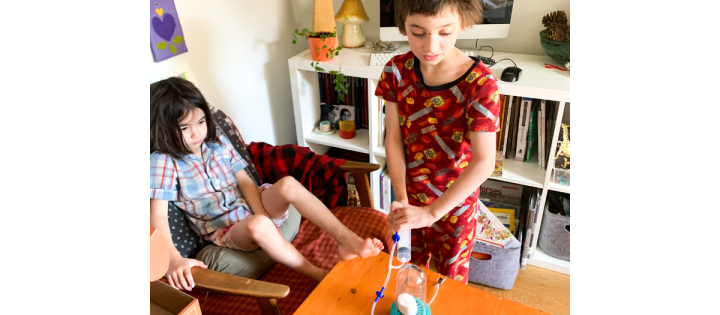 Unschooling: Maplerose - Science 2022