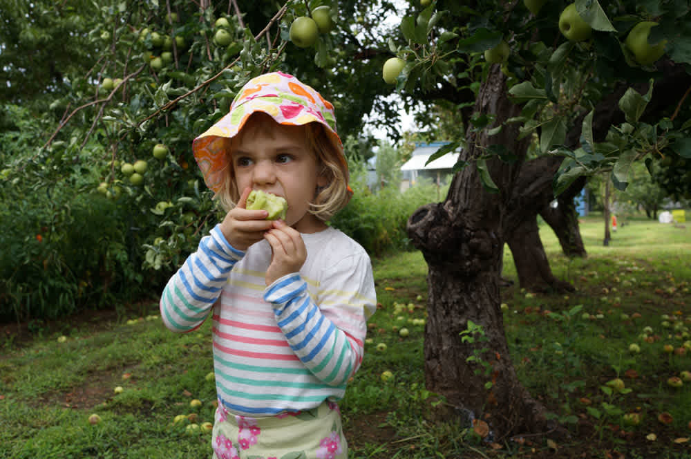 Waldorf-inspired Fall Equinox Celebrations for Kids