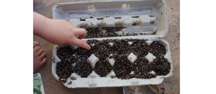 Blog- Egg Carton Seed Starters- 1200 X 525