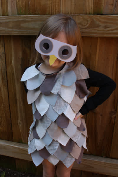 Last Minute Owl Costume 