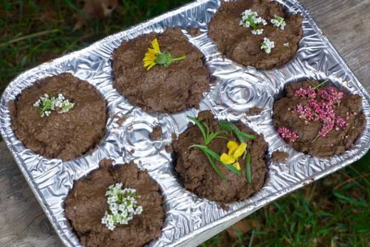 mud-pie-muffins