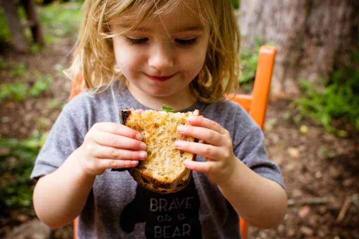 campfire raspberry basil grilled cheese sandwiches 5 | www.sparklestories.com| by thistle by thimble