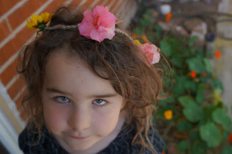 Nature School Project: Flower Crowns — Sparkle Stories