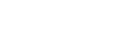 Destination Sport logo