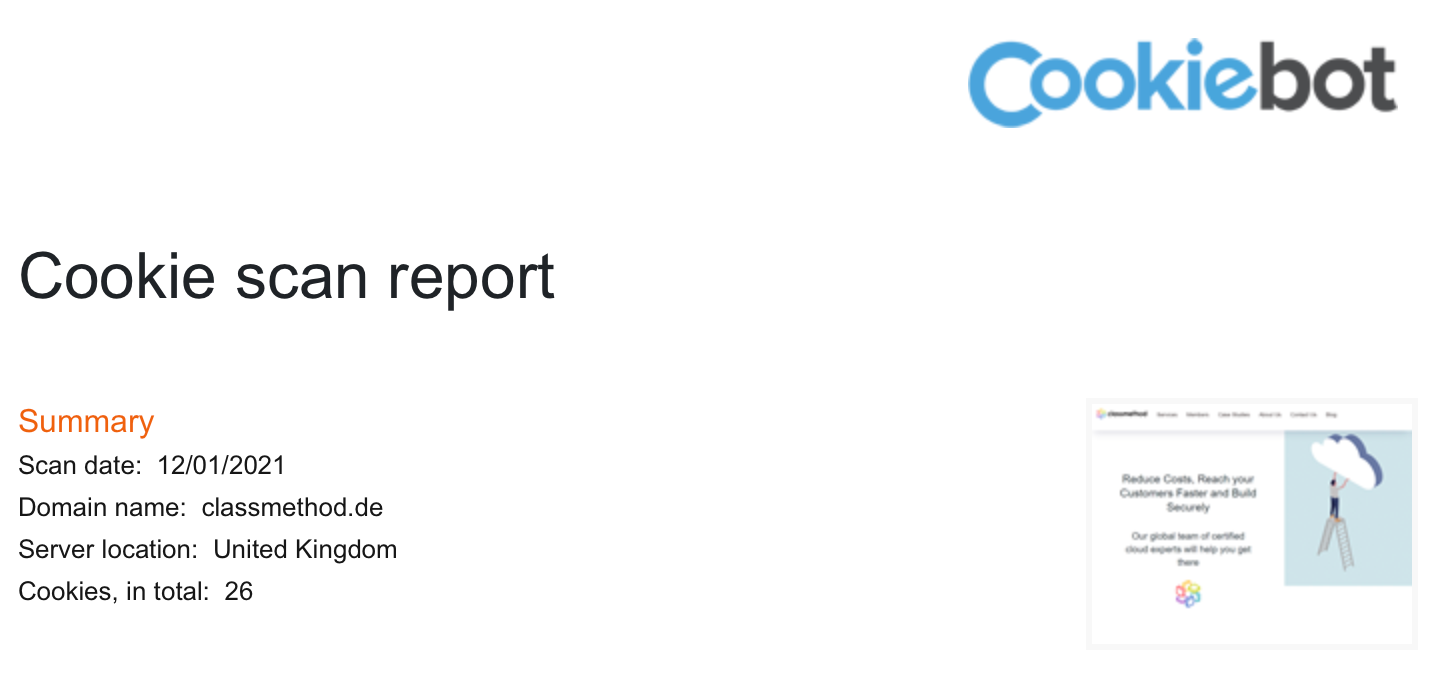 scan report thumbnail